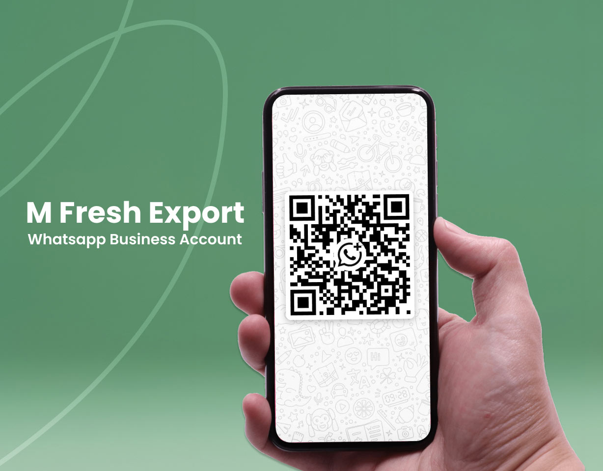 WhatsApp Special Offer